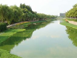 生態(tài)修復